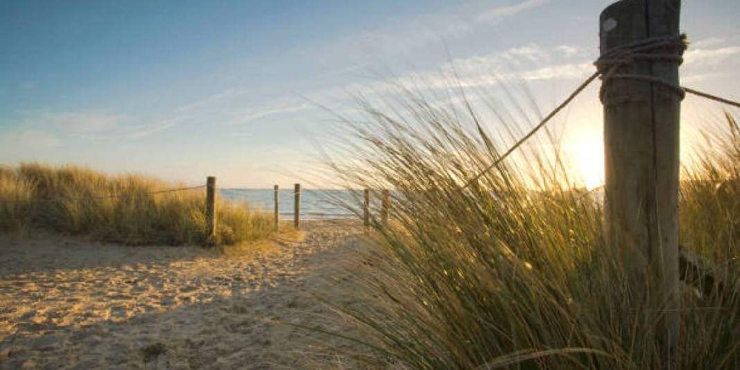 Haritada zor bulunuyordu, şimdi değeri milyonlarla ölçülüyor! Köy havası milyon etti: Jet sosyetenin yeni adresi oldu 5